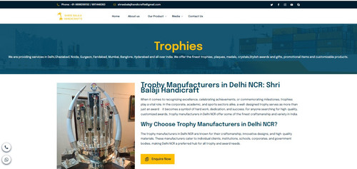 Bone China Plate and Mug Supplier in Delhi for Events & Awards.jpg