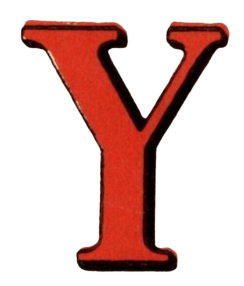 Y