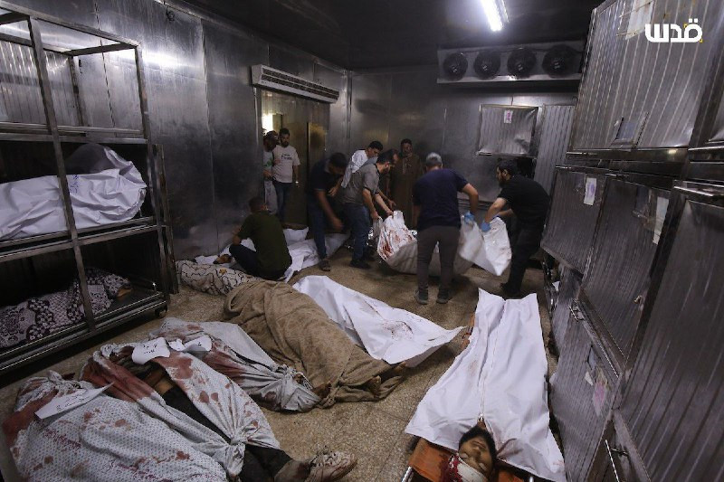 التشييع اليومي في غزة..

الأهالي يودعون ويشيعون عددا من الشهداء في مستشفى الشفاء الطبي بمدينة غزة....