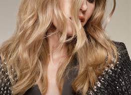 Long Hair Extensions.jpg