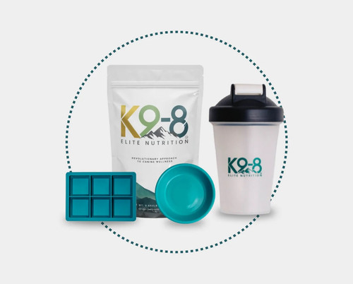Best Dog Supplements Backed by Science and Loved by Pets.jpg