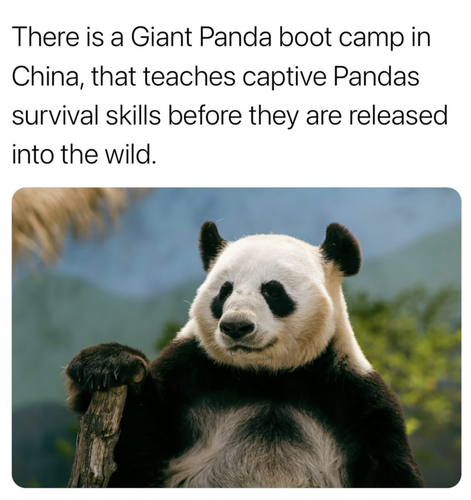 Screenshot 2025 06 27 at 10.58.15 AM.png