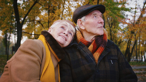happy couple grandparents are cuddling smiling and talking while sitting on bench in a SBI 349400567.jpg