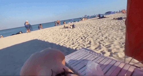 mmezgif 20dc9506595e37.gif