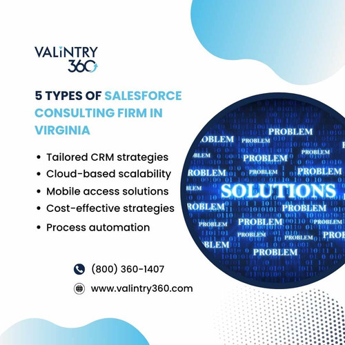 5 Types of Salesforce consulting firm in Virginia.jpg