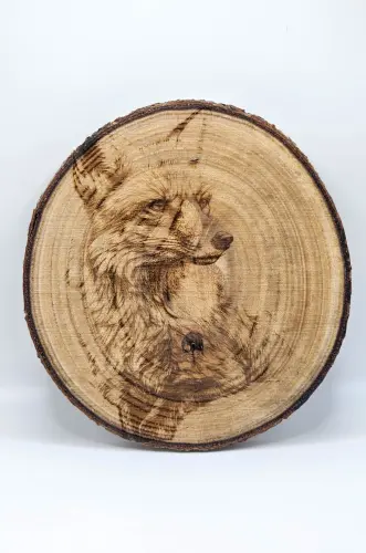 20250503 135554.webp