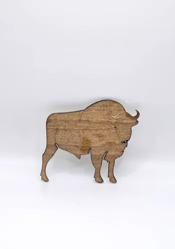 20250503 164637.webp