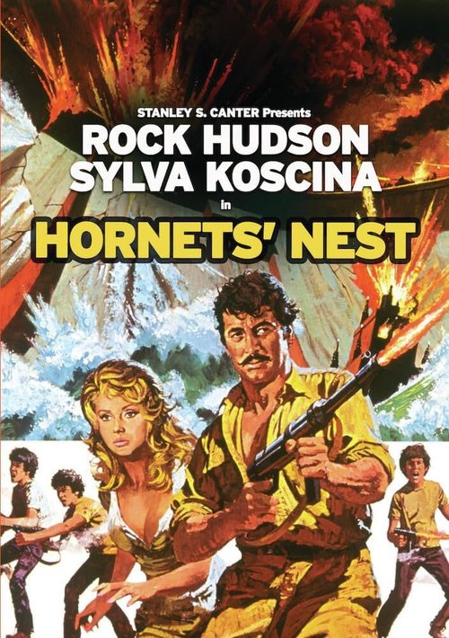 Gniazdo szerszeni / Hornets' Nest (1970) PL.720p.BDRip.H264-wasik / Lektor PL