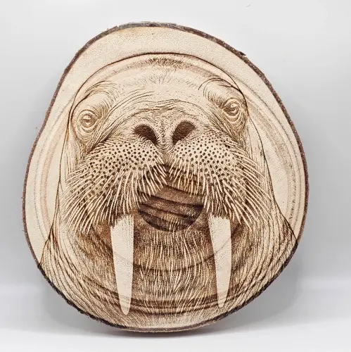 20250503 173856.webp