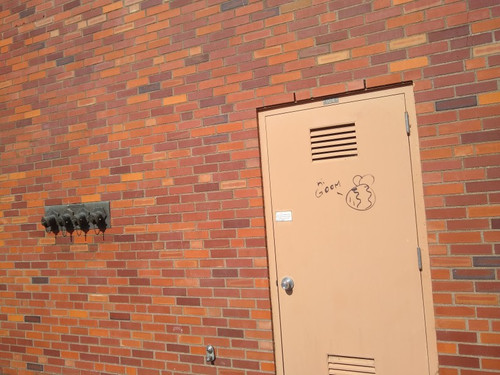 IMG 20250615 092419534.jpg