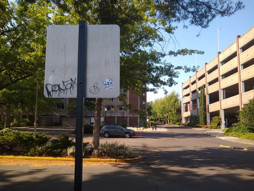 IMG 20250615 083257991.jpg