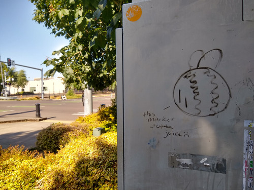 IMG 20250615 085815899 HDR.jpg