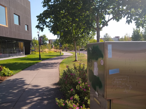 IMG 20250615 090540710.jpg