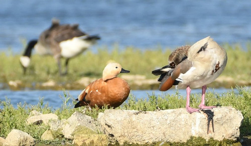 Gtbm QbWcAAJfQL?format=jpg.jpg