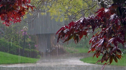 507093695 1045948854337367 7279161251345895068 n.jpg? nc cat=106&ccb=1 7& nc sid=127cfc& nc ohc=xDej.jpg