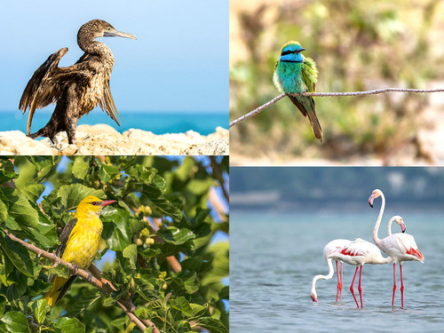 ' Glorified is The  All-Mighty Creator '.jpg