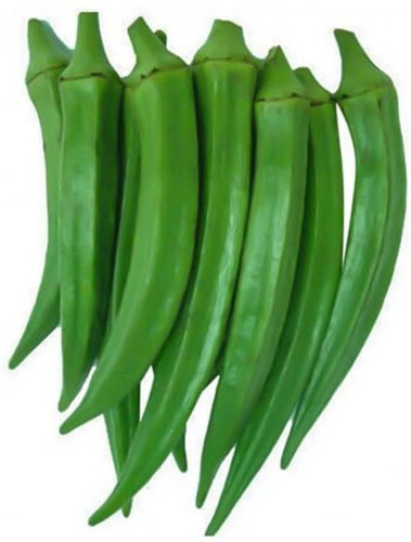 475 lady finger seeds bhindi see.jpg