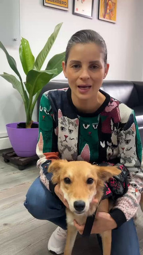 91kS7ceAv2d1 evM.jpg