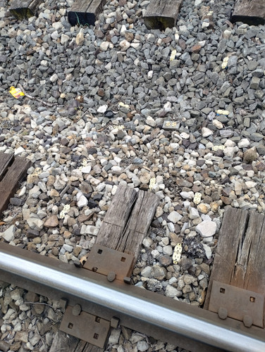 IMG 20250615 104807514 HDR.jpg