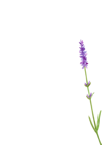 yellowdriedflower 2.png