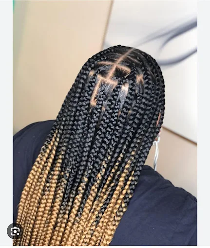 Hair Style 17