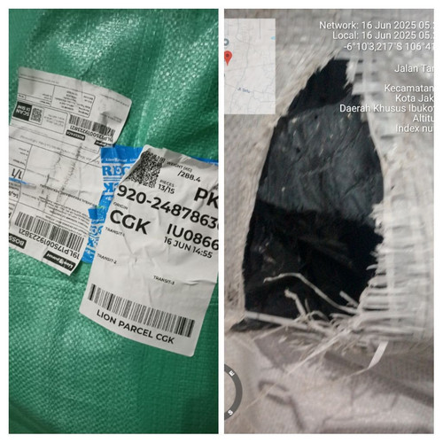 IMG 20250616 052733 COLLAGE.jpg