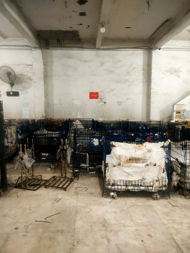 2ba2c3cc c332 41b5 bcc2 f7596dc5d771.jpg