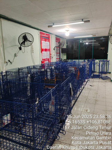 276b8247 d2ac 47ff 8c17 c7e59cc9ac66.jpg