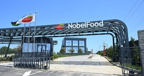 506119704 122168690618442914 707858910429355703 n.jpg?stp=dst jpg s600x600 tt6& nc cat=102&ccb=1 7& .jpg