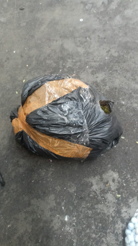 WhatsApp Image 2025 06 15 at 09.54.51.jpg