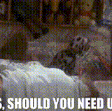 7104a8b9 dcb6 4adc bebb c5502412a4db text.gif