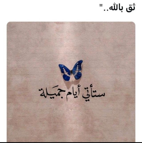 IMG ٢٠٢٢٠٢٠٥ ١٨٠٦٠٢.jpg