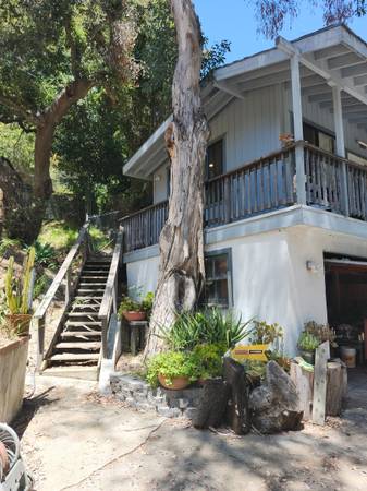 00M0M 4eFYb5o2UBl 0t20CI 600x450.jpg