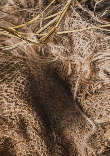 pexels umarali07 28005718 (1).jpg