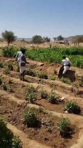 NV w NG4oDhGwjbs.jpg