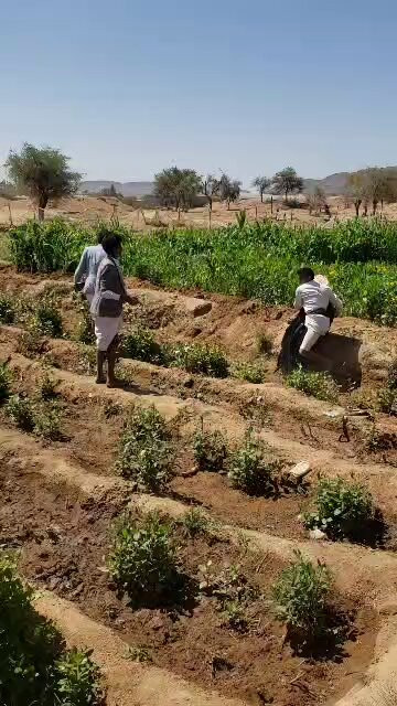 UUKzb2IMzApB UPk.jpg