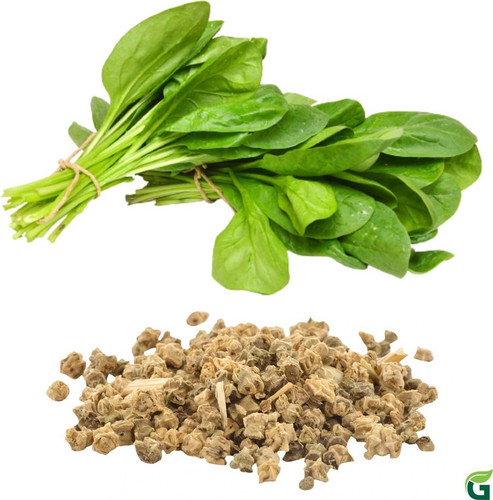 100 gcss gardening crop original.jpg