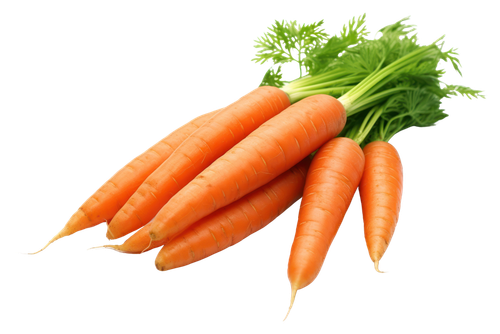 image from rawpixel id 13096154 png.png