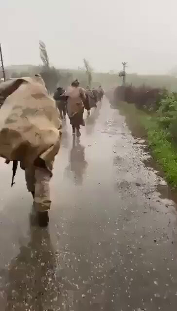 DFTFKswp7IwSmv P.jpg