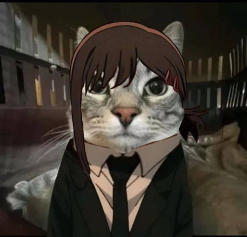 FB IMG 1741089038485.jpg