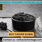 buy caviar dubai.png