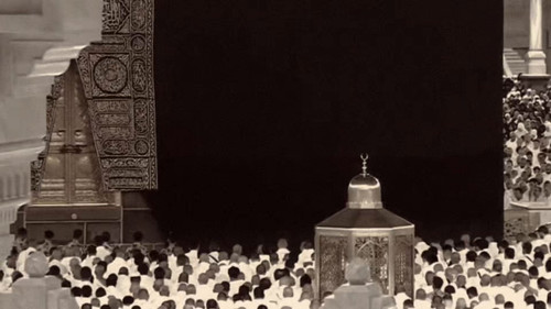 B kkX658BIioCjru.jpg