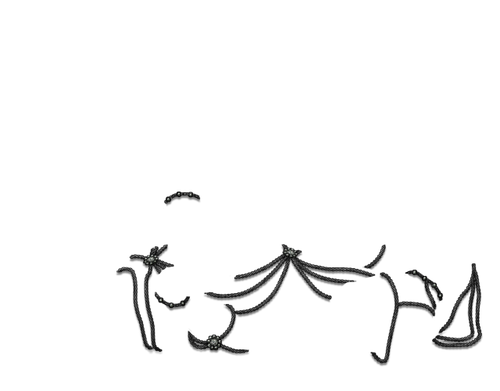 black plain jolly.png