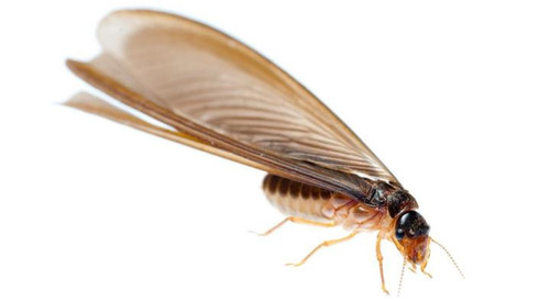 E tU mPWQAAlwWZ?format=jpg.jpg