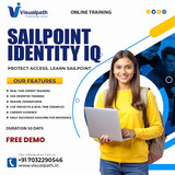 Career-Focused Sailpoint Identityiq Course Online Join Now