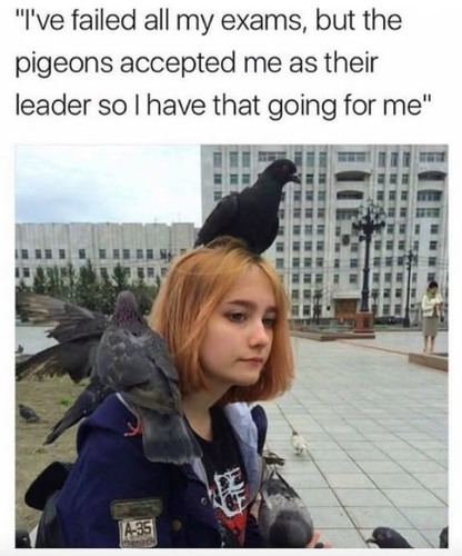 Screenshot 2025 06 17 at 9.18.12 AM.png