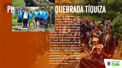 Plantilla Audciencia 26 Mayo Mesa de trabajo 1 copia 9.png