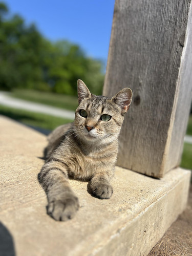 506456793 755700206803109 1674607086750469001 n.jpg