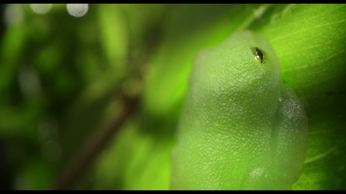 vlcsnap 2025 06 16 09h03m20s217