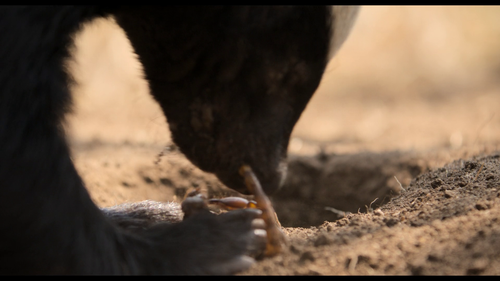 vlcsnap 2025 06 16 09h03m18s947